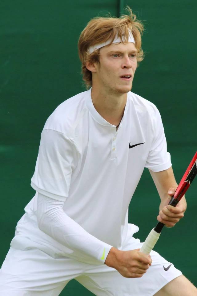 体战略目标 体战略目标