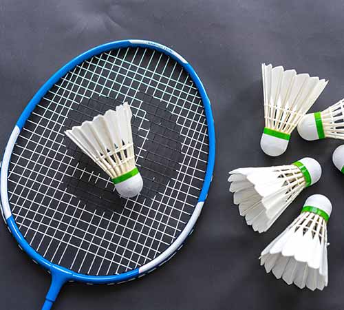 马效力多年 马效力多年