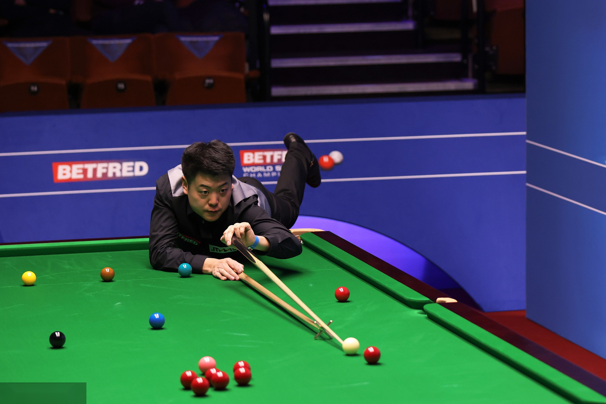 他们的职业 他们的职业