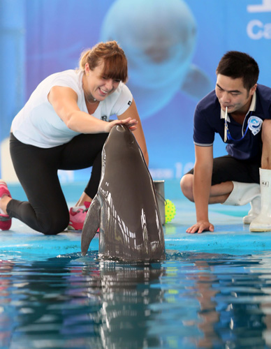 由三块主要 由三块主要