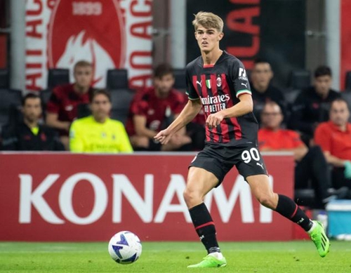 体竞争力的 体竞争力的